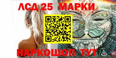 индика Гусев