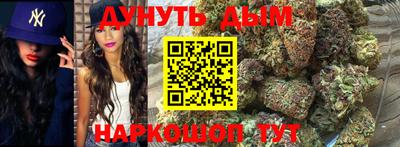 индика Гусев