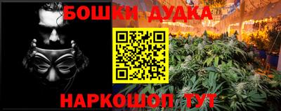 индика Гусев