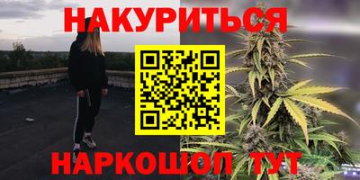 индика Гусев