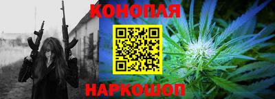 индика Гусев