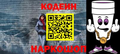 индика Гусев