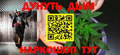 индика Гусев